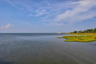 Vineyard Cove - 6