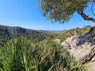 Authentische Finca mit Pool & Traumblick auf Mallorca - Puigpunyent - 5