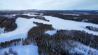 House Arctic Wolf - Blattnicksele - 4