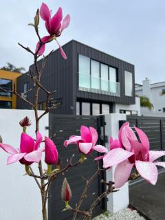 Auckland Luxury Seafront House - Auckland - 7