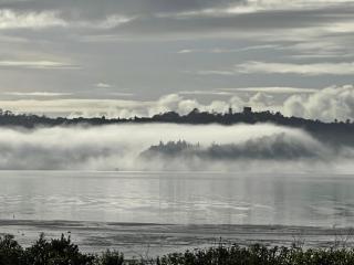 Auckland Luxury Seafront House - Auckland - 5