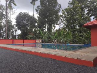 Empire Life Pool Villa - Meenangadi - 1