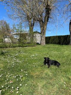 Camping de Graçay - 9