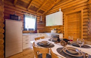 Holiday Home Zeleni Brijeg by Villas Guide - Petrinja - 4