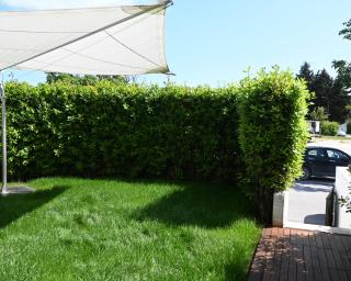 M433 - Marcelli, spazioso trilocale con giardino - Marcelli - 4