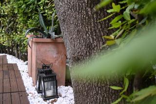 M433 - Marcelli, spazioso trilocale con giardino - Marcelli - 5
