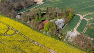Planquadrat Glück - Die EINSAME Insel - Passee - 4