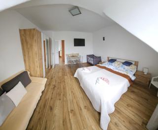 Bluestars Home - Karlovy Vary - 1
