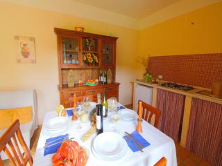 Property with swimming pool, spacious garden, private terrace and views - Apecchio - 7
