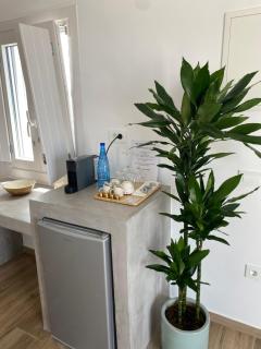 THE VIEW OF MYKONOS - 6