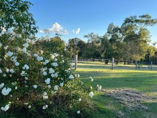 Plainland 3 bed rooms entire house - 4