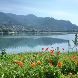 La Terrazza Di Basilio - Vista Lago - Olginate - 4