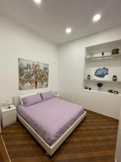 Violet House - Palermo - 0