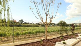 Glenridge Resort By Albufeira Rental - Albufeira - 2