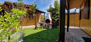 Domki letniskowe Liliowy Zakątek - 6