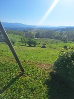 Studio Vista apartment - Leskovec pri Krškem - 9