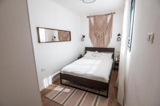 Mcs בין הזיתים - 9