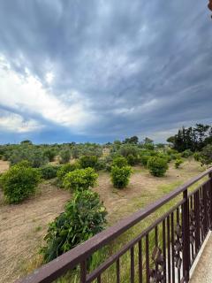 Villa Orizzonte Verde - Gallipoli - 0