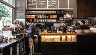 City Escape with Panoramic Views - Sydney - 5