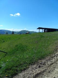 Altan's Gold - Hangu - 9