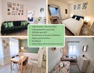 Urban green spirit, centre historique - Mulhouse - 6