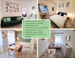 Urban green spirit, centre historique - Mulhouse - 5