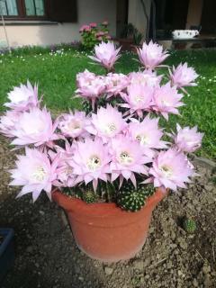 La casa di Juliette - 1