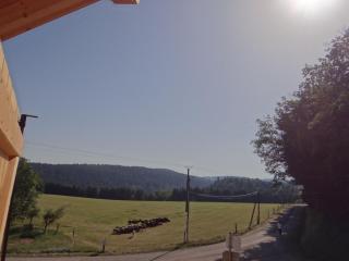 Chalet des 4 Vents: Nature et Activités Vosges - FR-1-589-815 - Girmont-Val-dʼAjol - 9