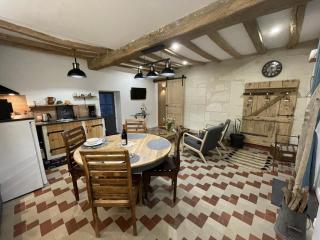 Gîte spacieux en Touraine avec jardin et terrasse, proche vignobles - FR-1-381-605 - Chouzé-sur-Loire - 7