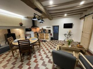 Gîte spacieux en Touraine avec jardin et terrasse, proche vignobles - FR-1-381-605 - Chouzé-sur-Loire - 5