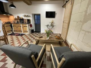Gîte spacieux en Touraine avec jardin et terrasse, proche vignobles - FR-1-381-605 - Chouzé-sur-Loire - 1
