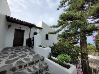 Casa Mariposa Monarca 1 - Santa Úrsula - 8