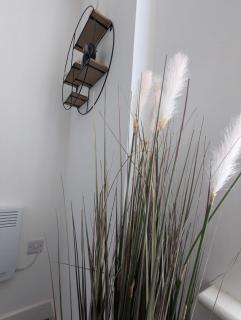 Island House - - 9