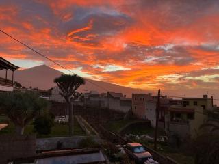 Casa Mariposa Monarca 1 - Santa Úrsula - 6