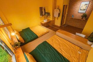 Villa Nhà có hai cây Tùng - Ấp Thiện Lập - 6