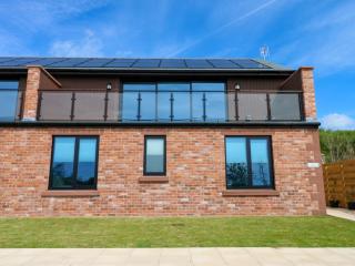 Silver Birch Cottage - Frizington - 9