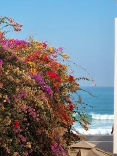 Adan appartement - Aourir - 5