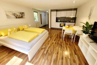 Apartmenthaus Sonnenschein - Dornbirn - 8