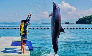 Majestic View of Subic Bay - 1