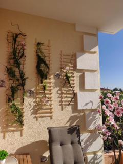 Casa dei Fiori Blu - La Maddalena - 3
