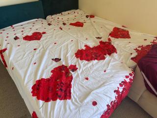 A beautiful double bedroom that can be your home in Edinburgh - Edinburgh - 3