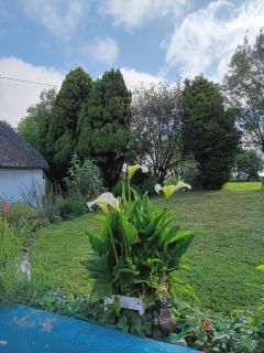 Aisling Cottage - Youghal - 4