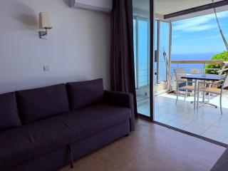Sunny Home Costa Plana-Monaco -Cap D'Ail - Cap d'Ail - 2