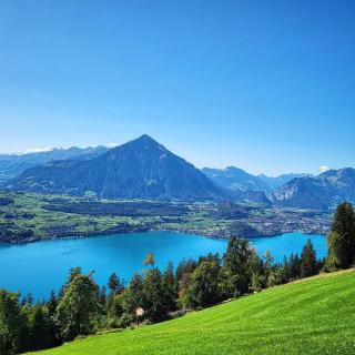 Chalet Lilo 4 Zimmer big View - Beatenberg - 8