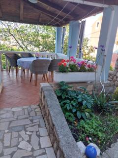 Star - Mali Lošinj - 1
