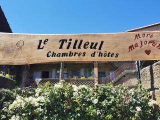 Chambre d'hote Gîte Le Tilleul - Le Martinet - 6