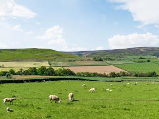 Barn Owl Hut - Uk49769 - Westerdale - 1