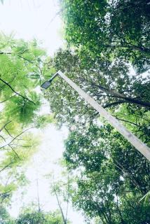vagamon moonlight meadows resort - Vagamon - 7