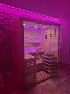 L'audacieuse-Jacuzzi et sauna , miroir suspendu - - 9