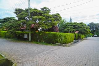 Calmo Meta Homestay Naivasha II - Naivasha - 9